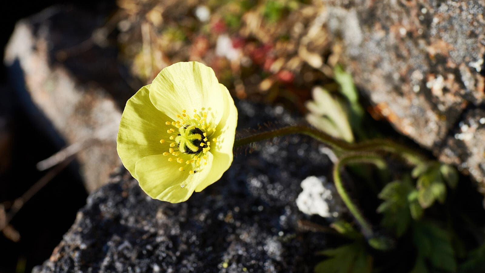 Au cœur du passage du Nord-Ouest ©N.Dub