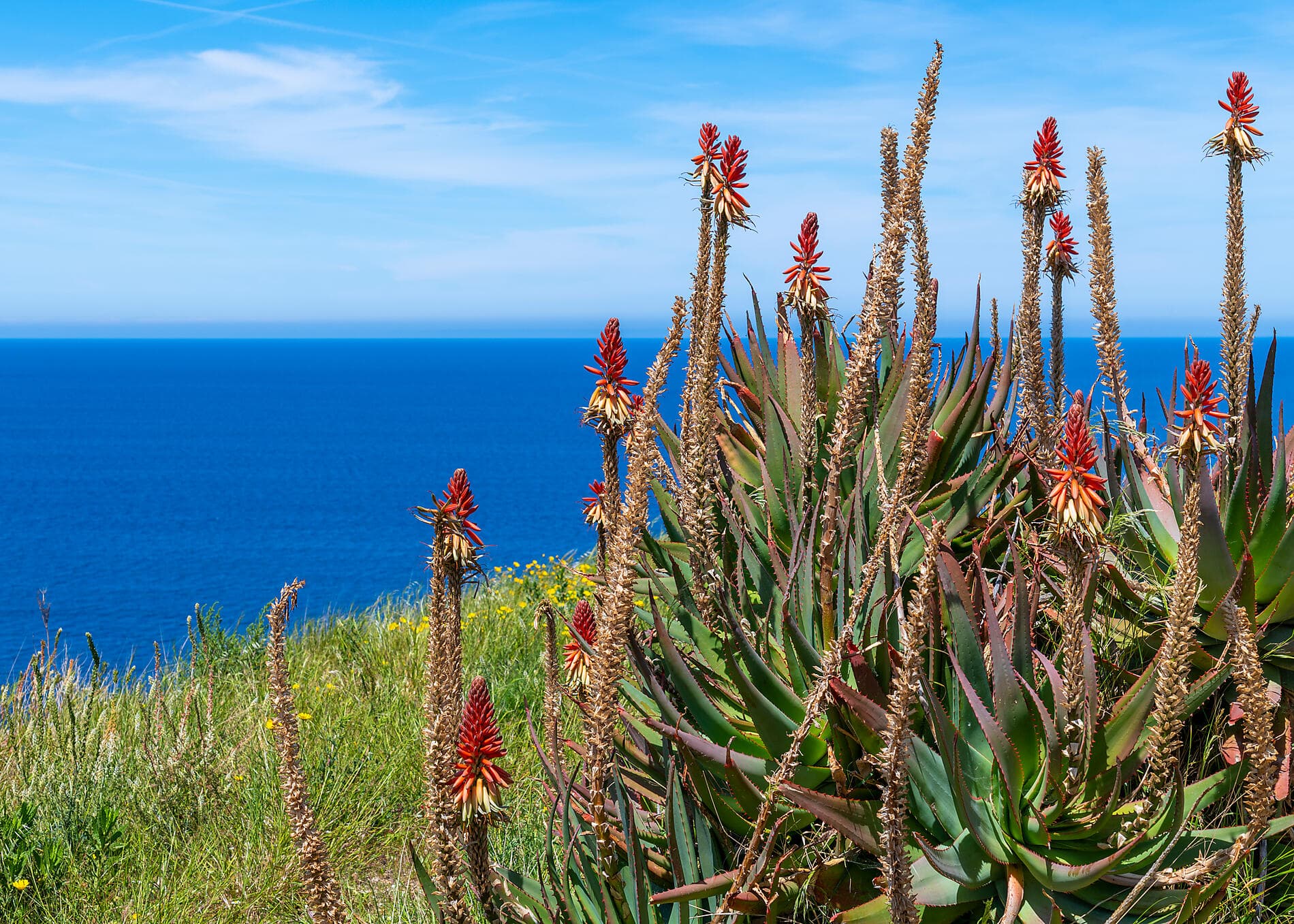 La grande boucle corse