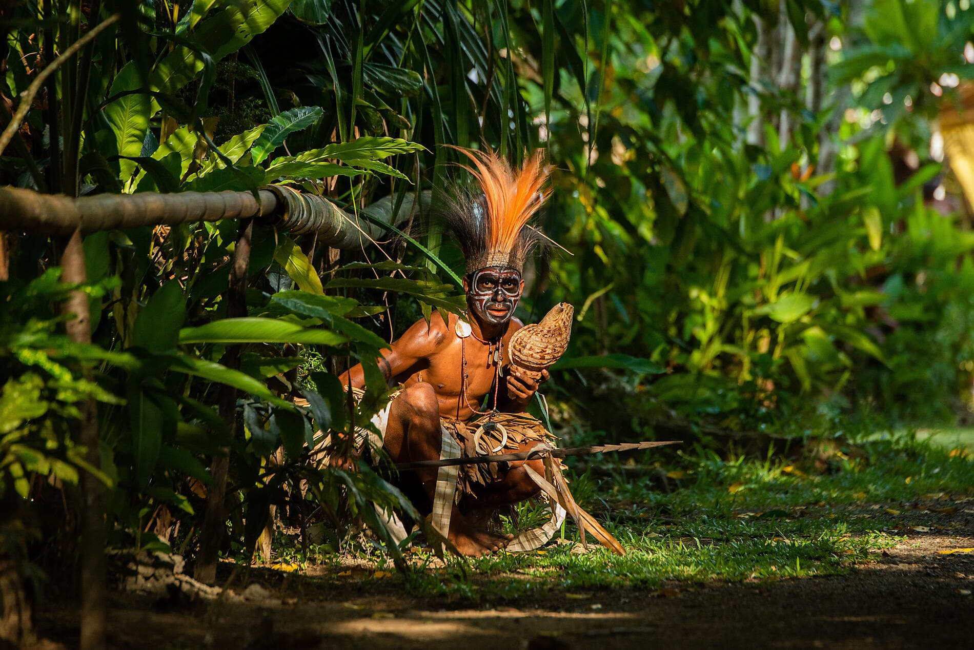 Odyssée en Nouvelle-Guinée 