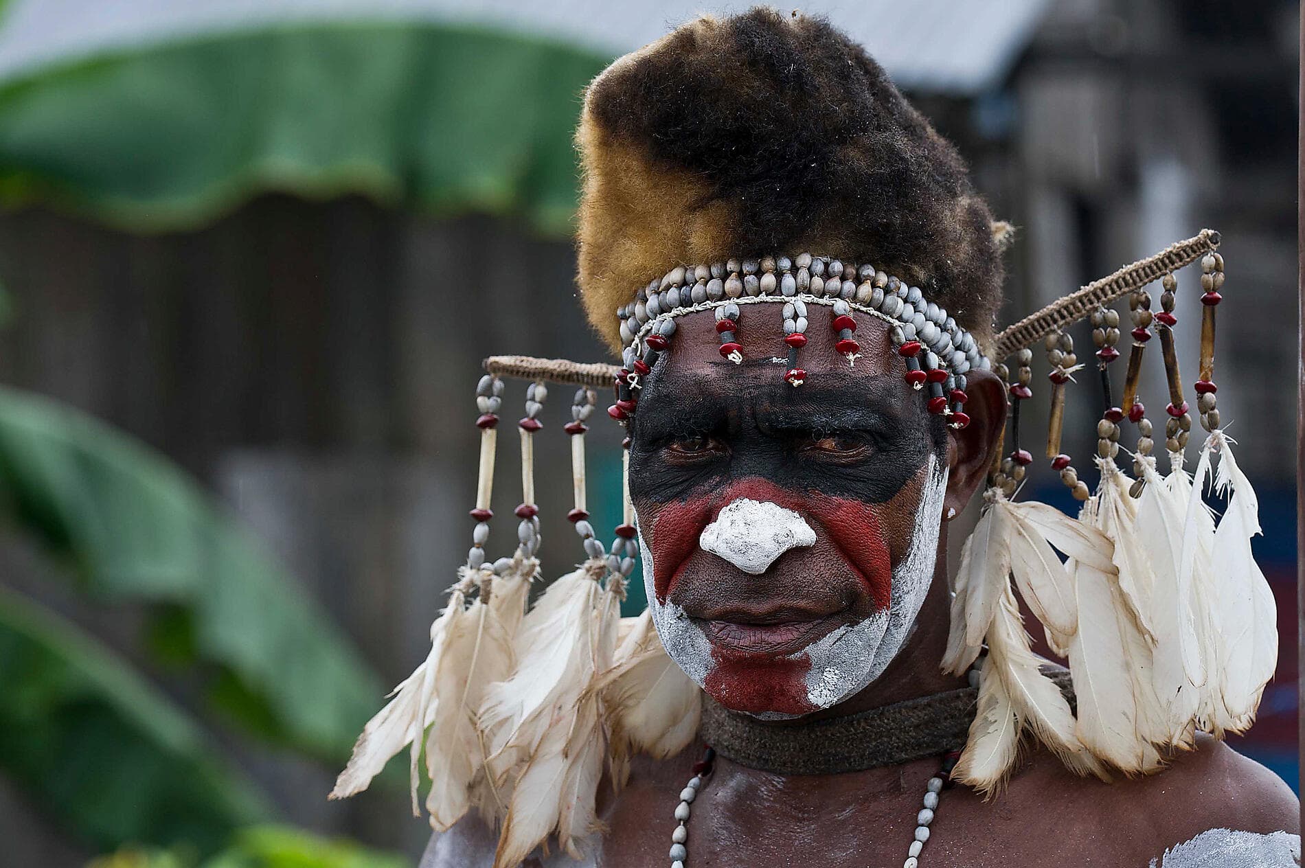 Odyssée tropicale entre Indonésie et nord-est Australien 