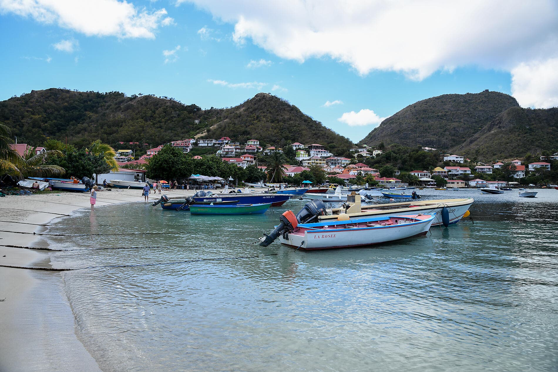 Merveilles des Caraïbes
