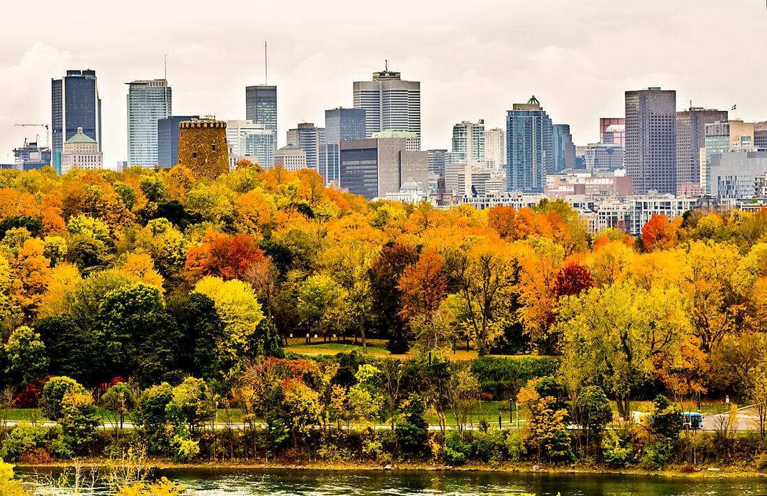 À la découverte d'une cabane à sucre et tour de Montréal
