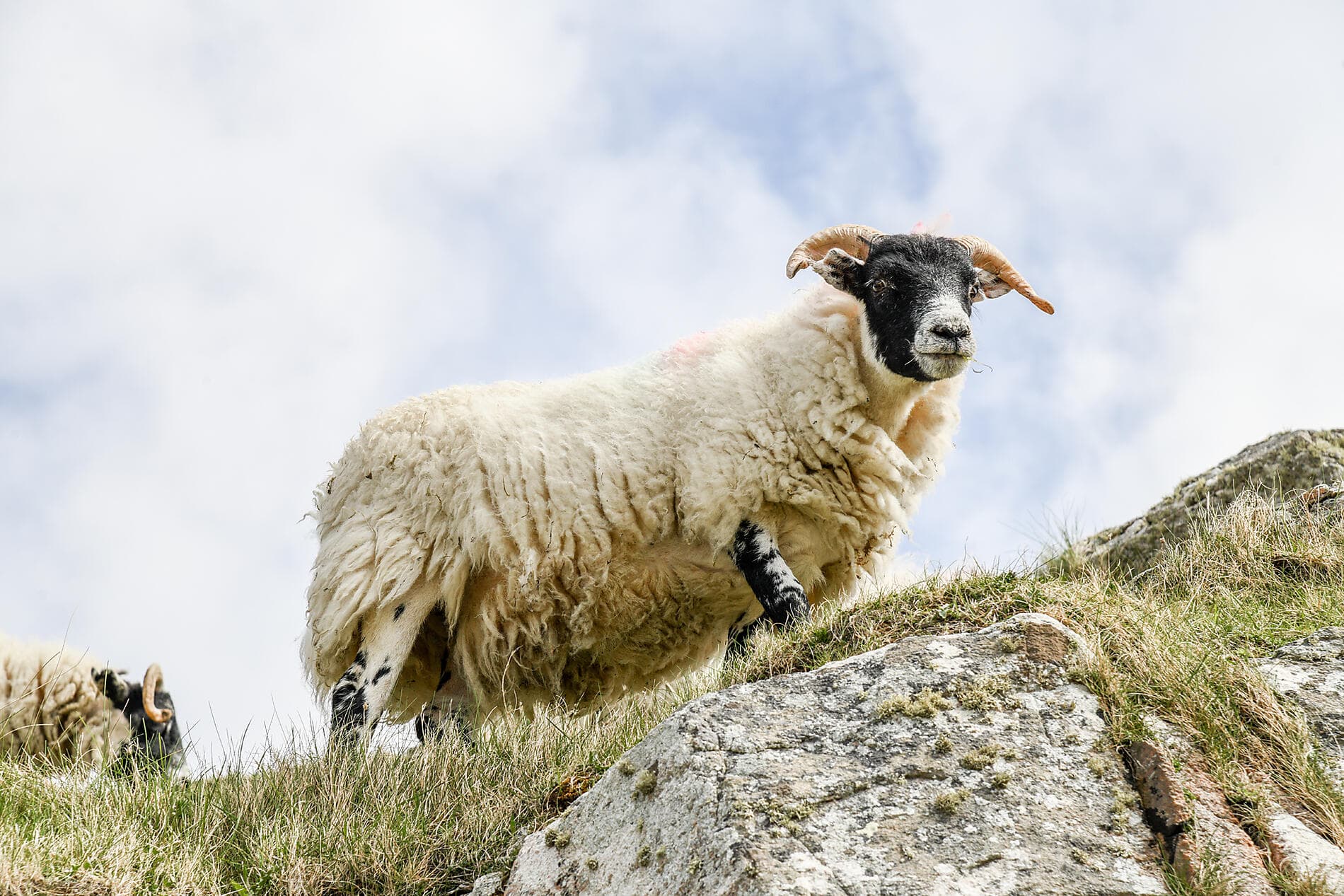 Terres légendaires et cités du Nord