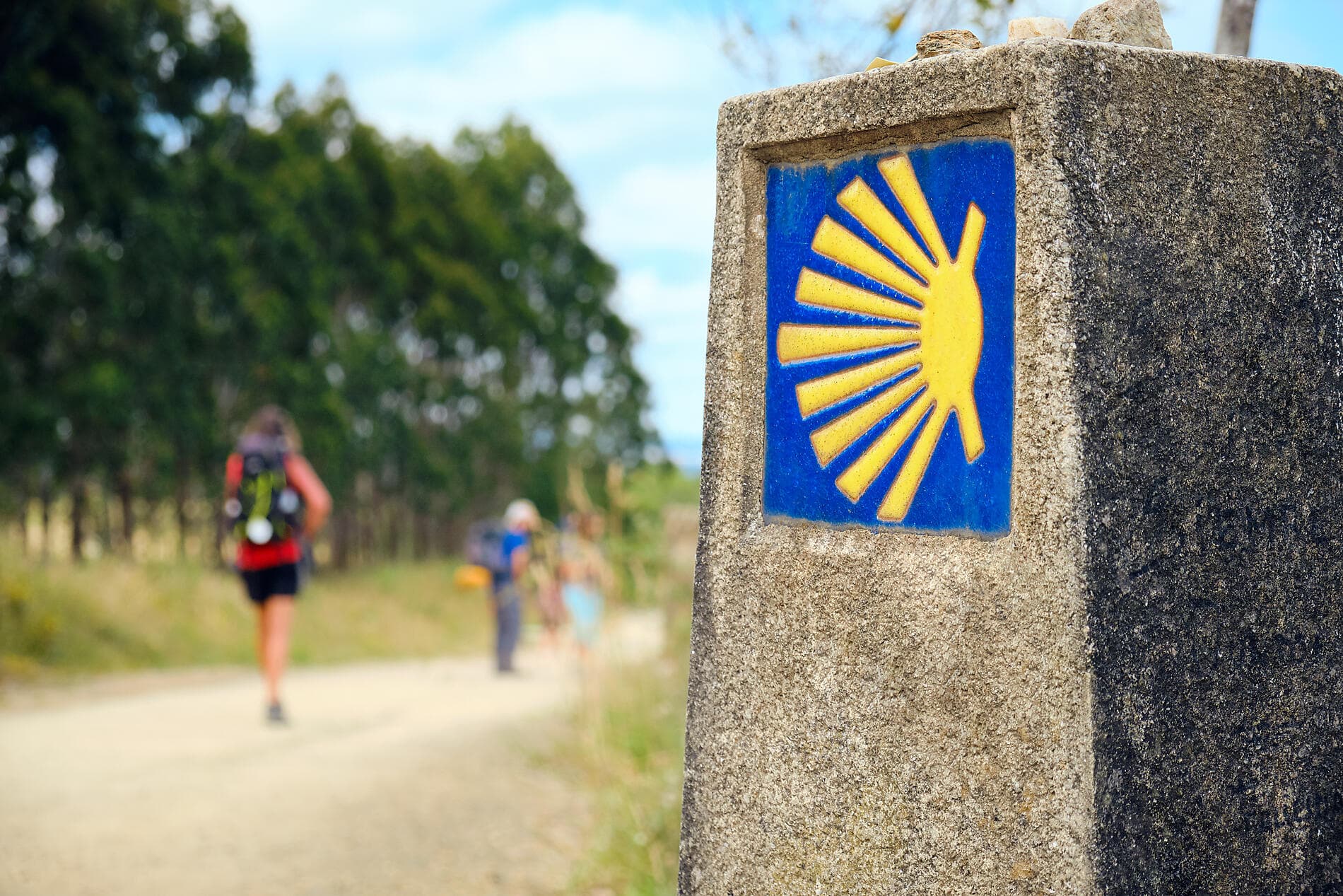 L'été au vert, le long du Golfe de Gascogne et de la péninsule ibérique