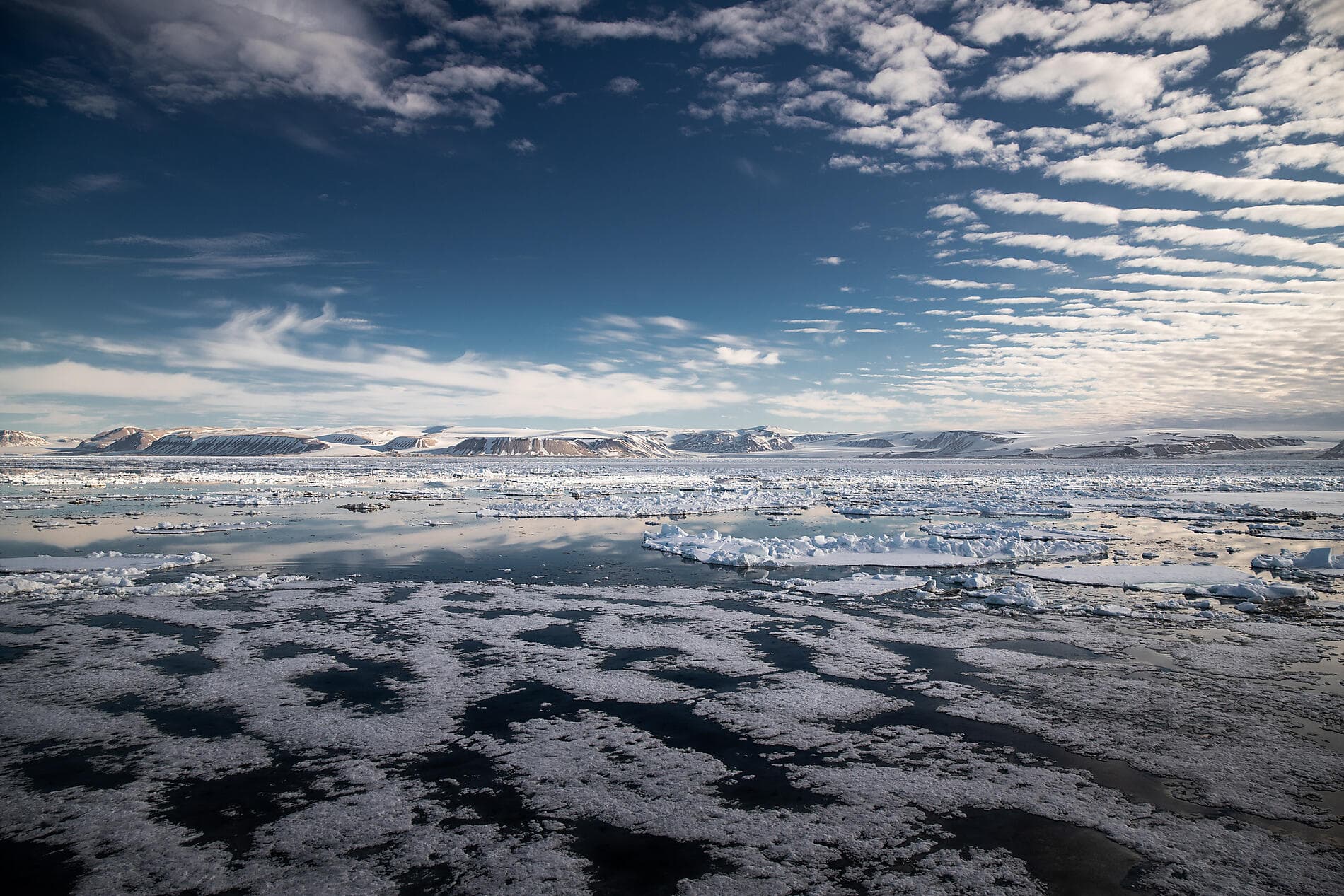 Au cœur des glaces de l'Arctique, du Groenland au Svalbard