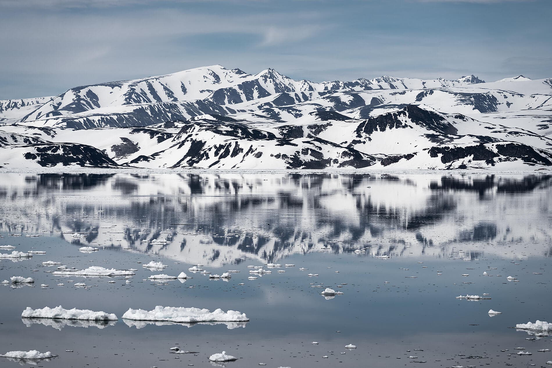 Au cœur des glaces de l'Arctique, du Groenland au Svalbard