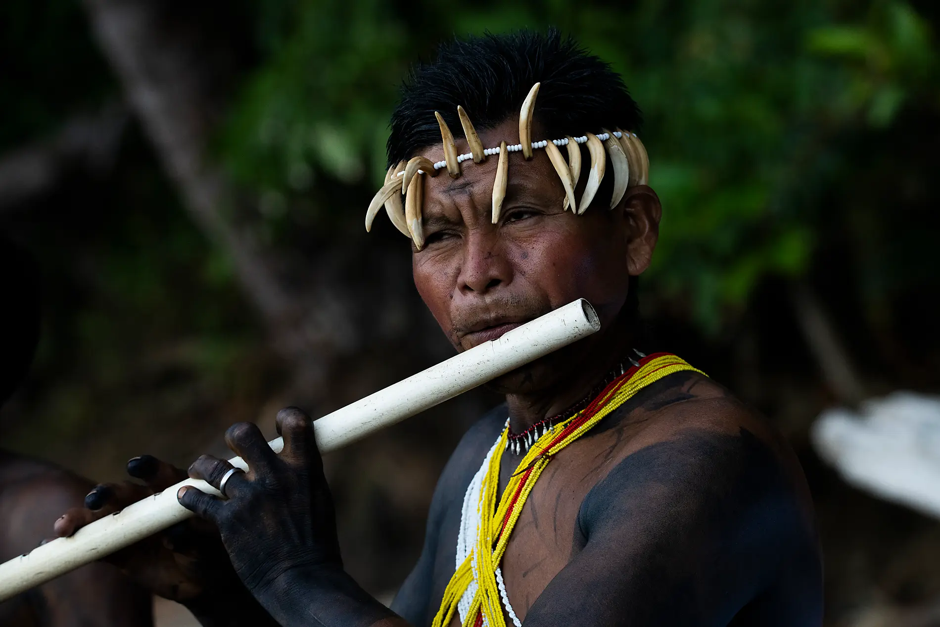 De la beauté sauvage du Panama aux rivages péruviens 