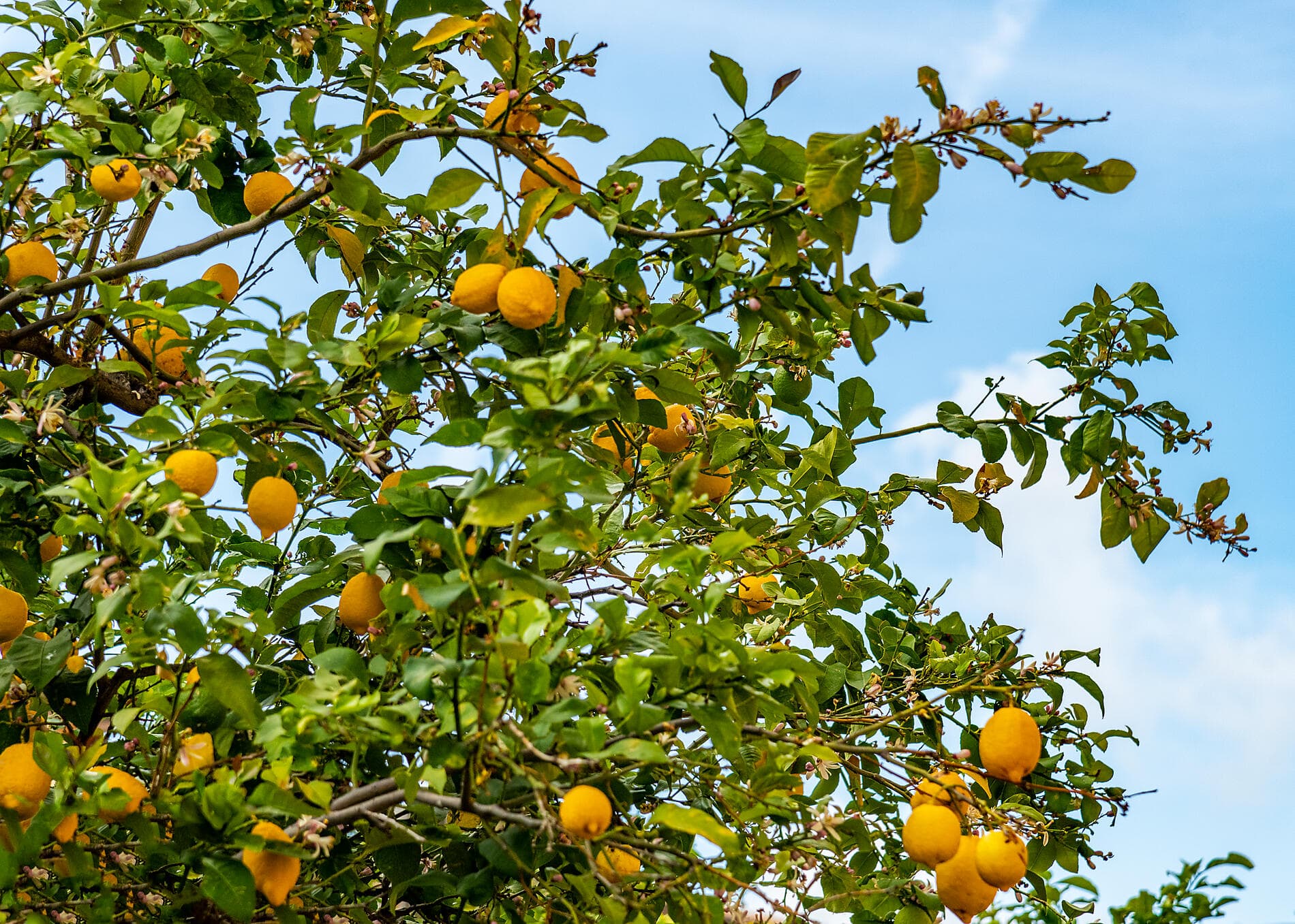 Escapade automnale entre Côte d’Azur, Riviera italienne et Corse