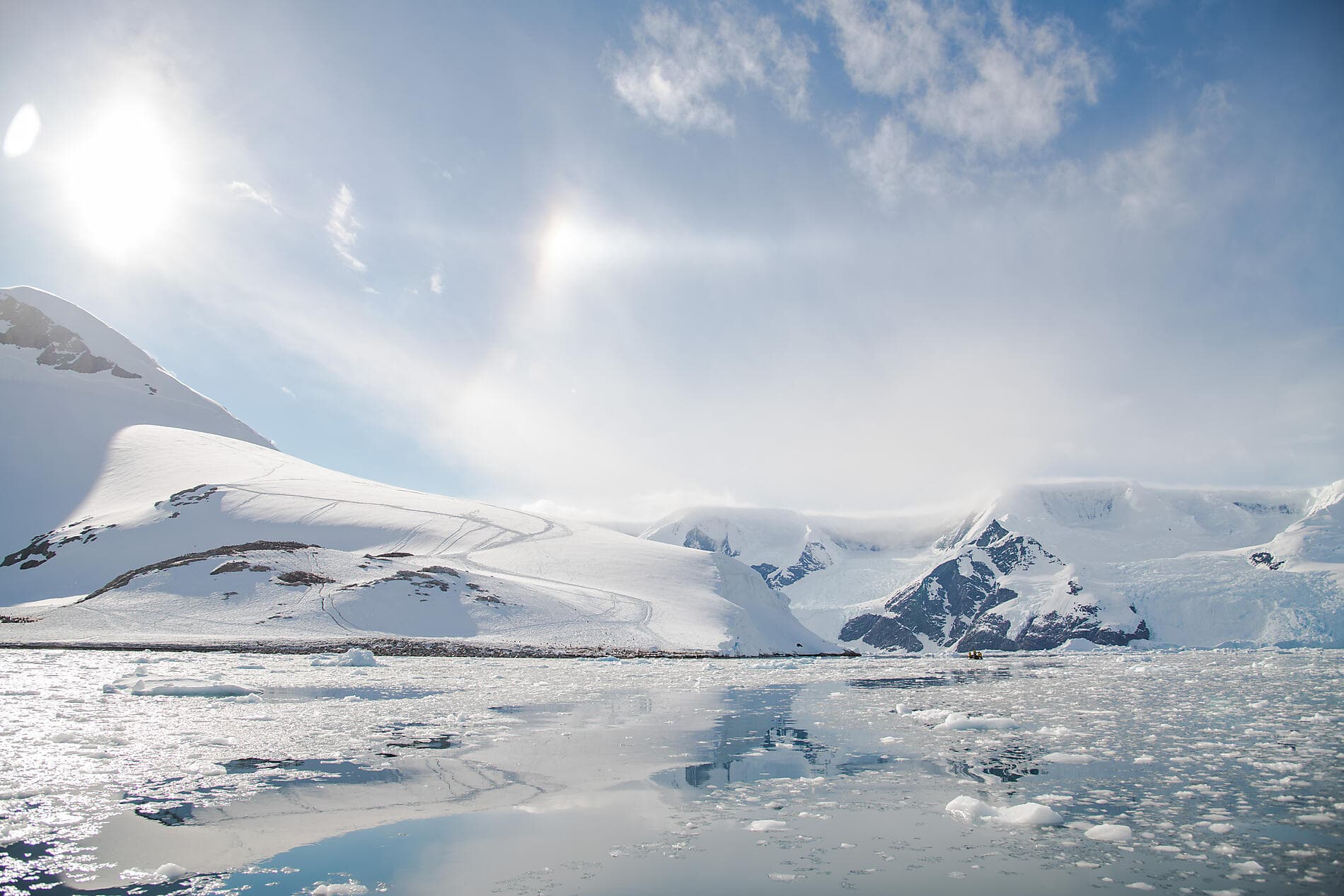L’Antarctique emblématique