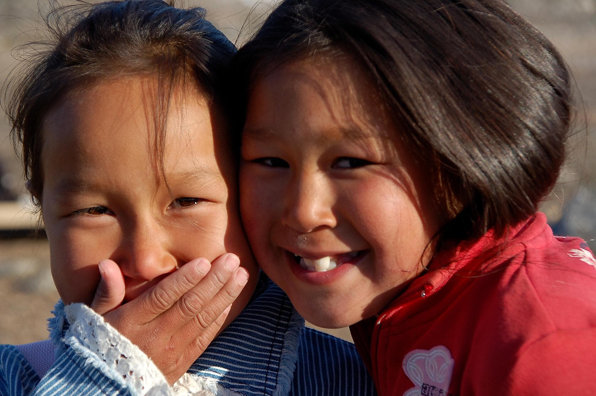 Des côtes sauvages du Groenland à la côte est du Canada