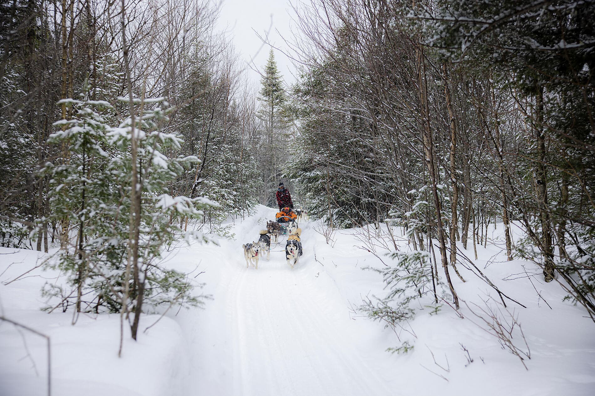 Derniers instants d'hiver, du Saint-Laurent au Groenland ©PONANT-Julien Fabro
