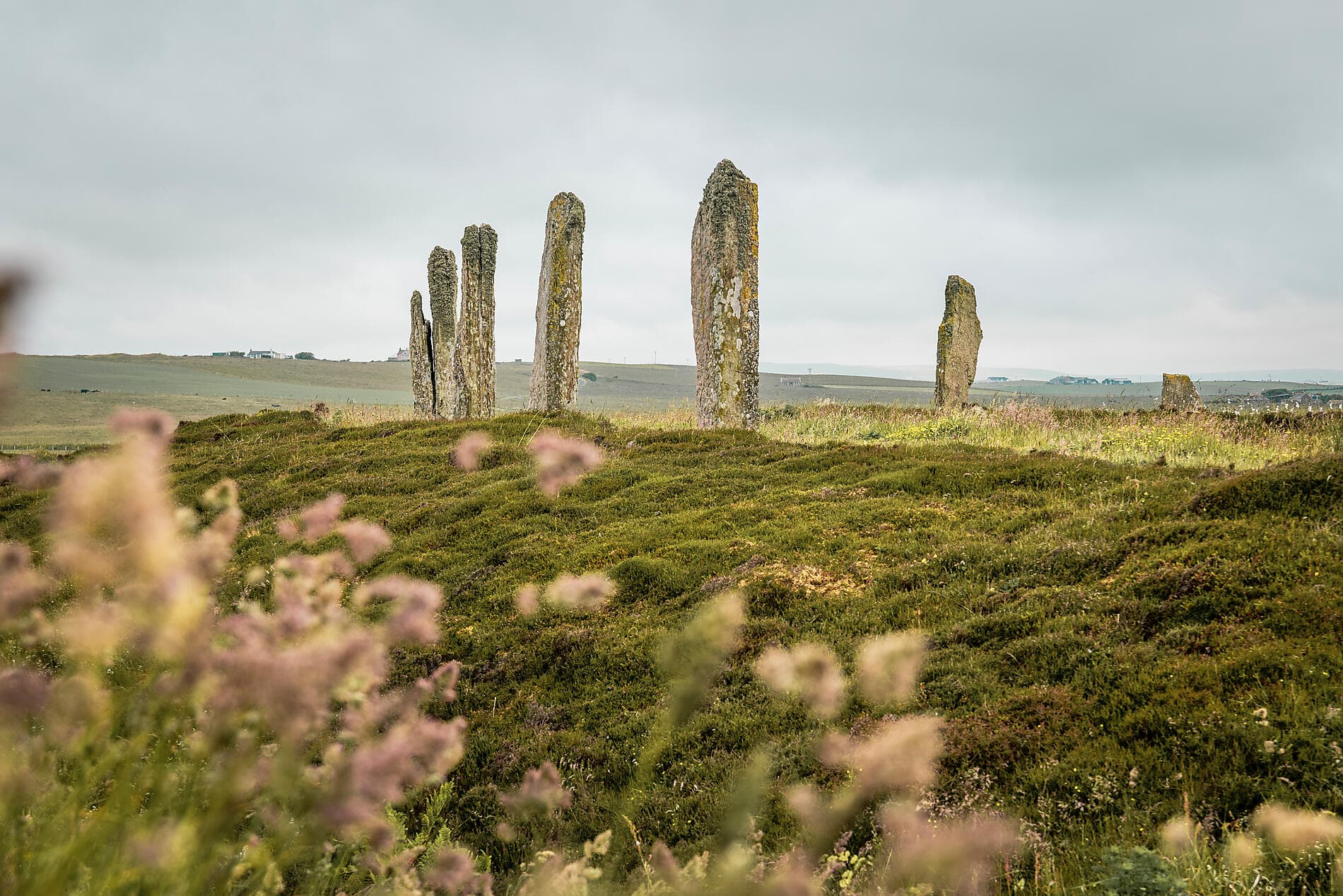 Du cercle polaire aux archipels écossais