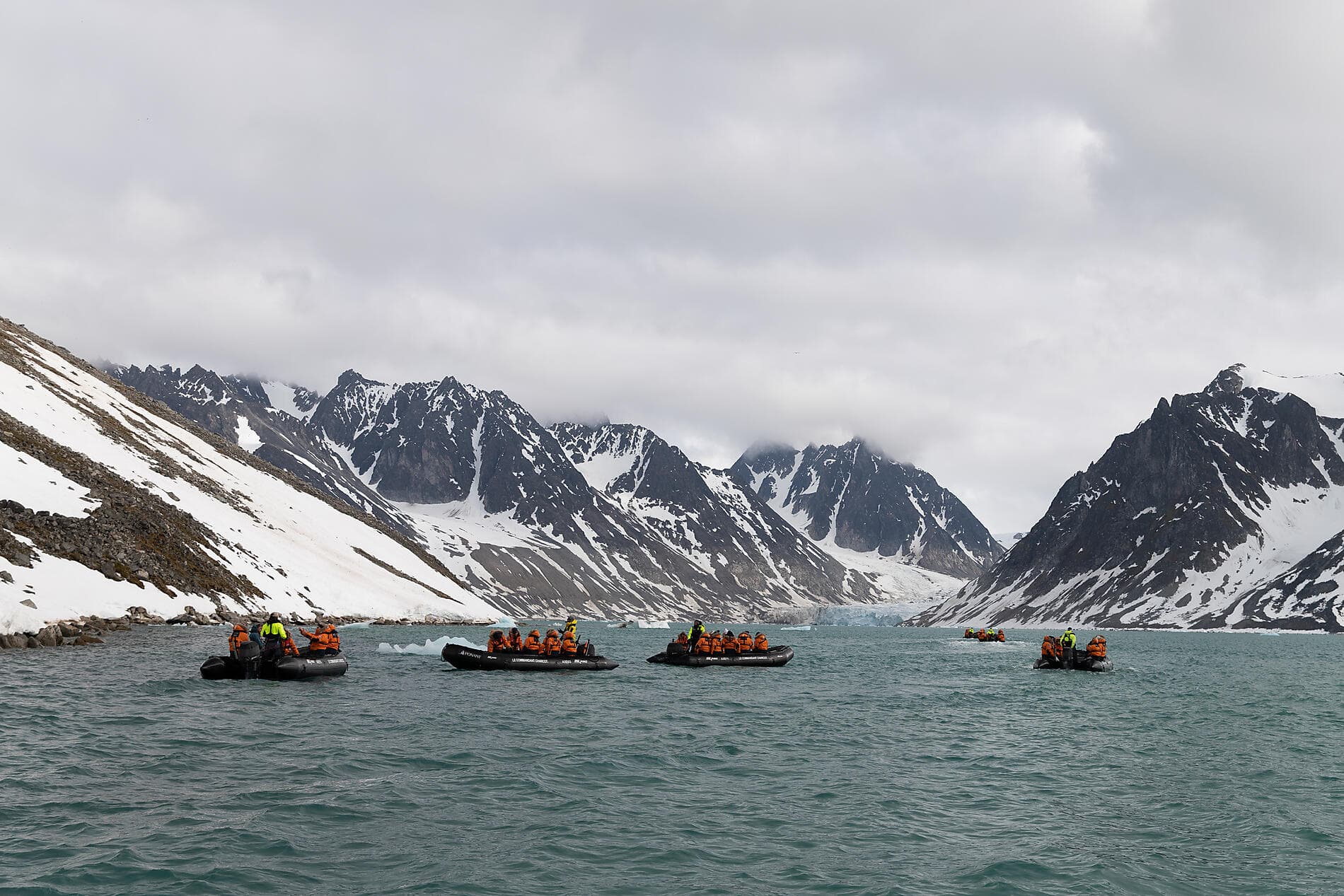 Au cœur des glaces de l'Arctique, du Groenland au Svalbard