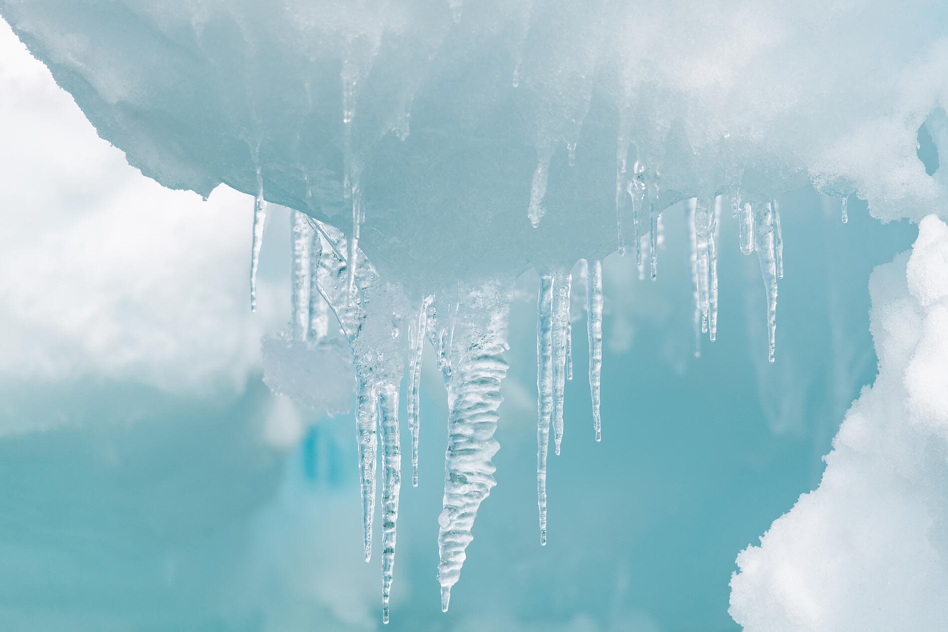 Derniers instants d'hiver, du Saint-Laurent au Groenland