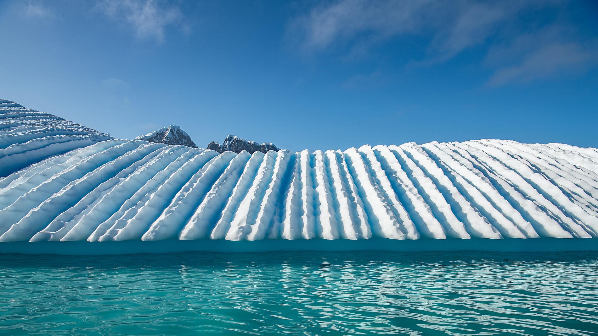 L'Antarctique emblématique