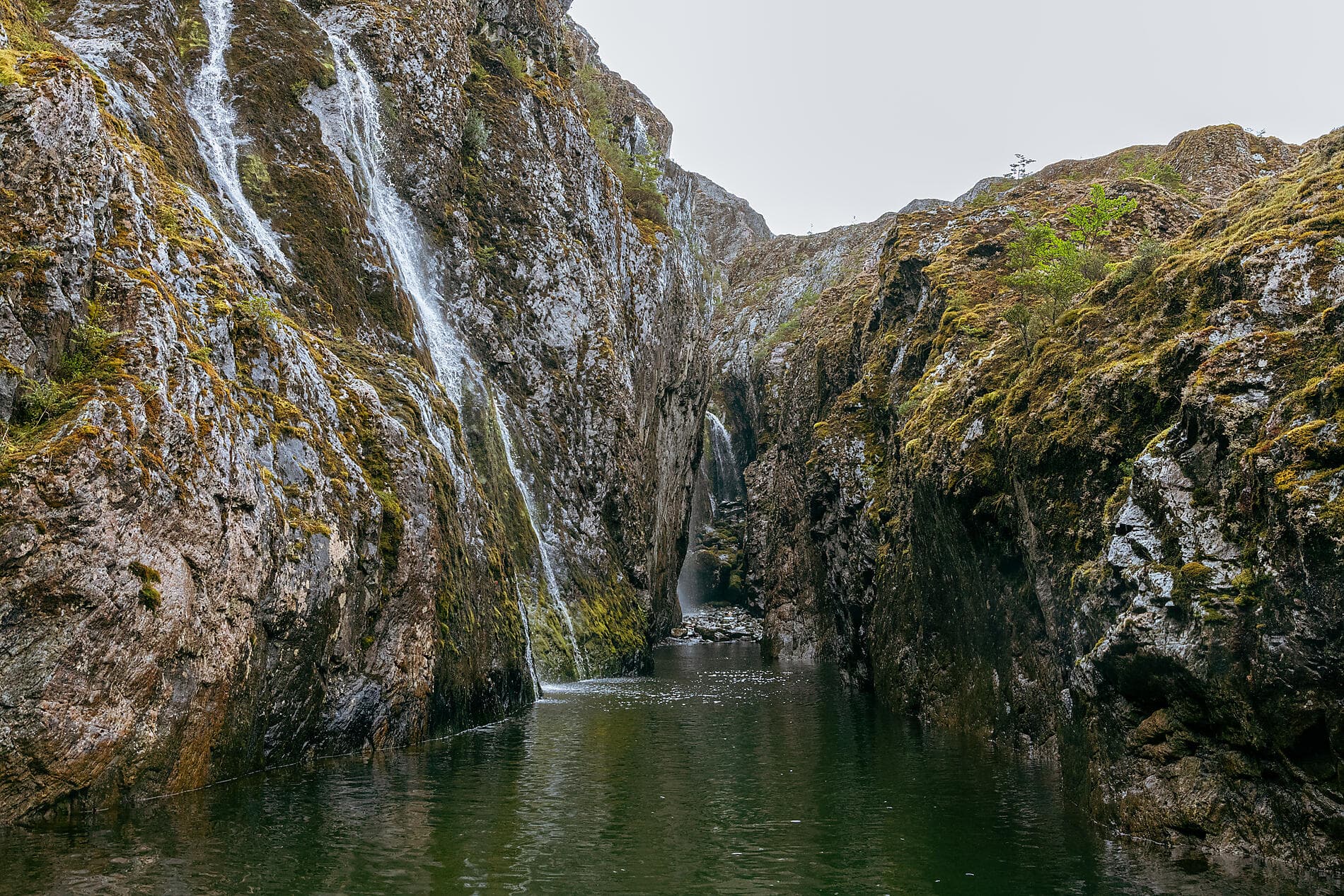 L’essentiel des fjords chiliens